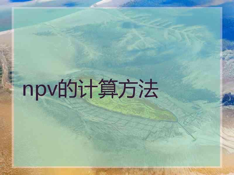 npv的计算方法