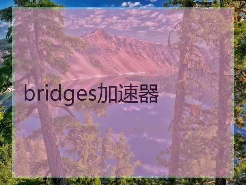 bridges加速器