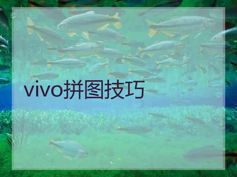 vivo拼图技巧