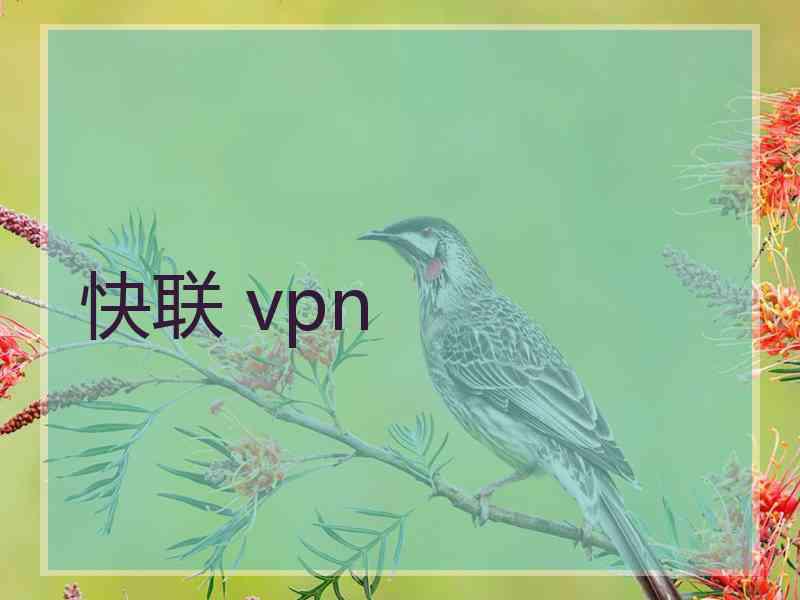 快联 vpn