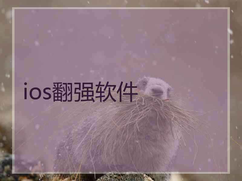 ios翻强软件