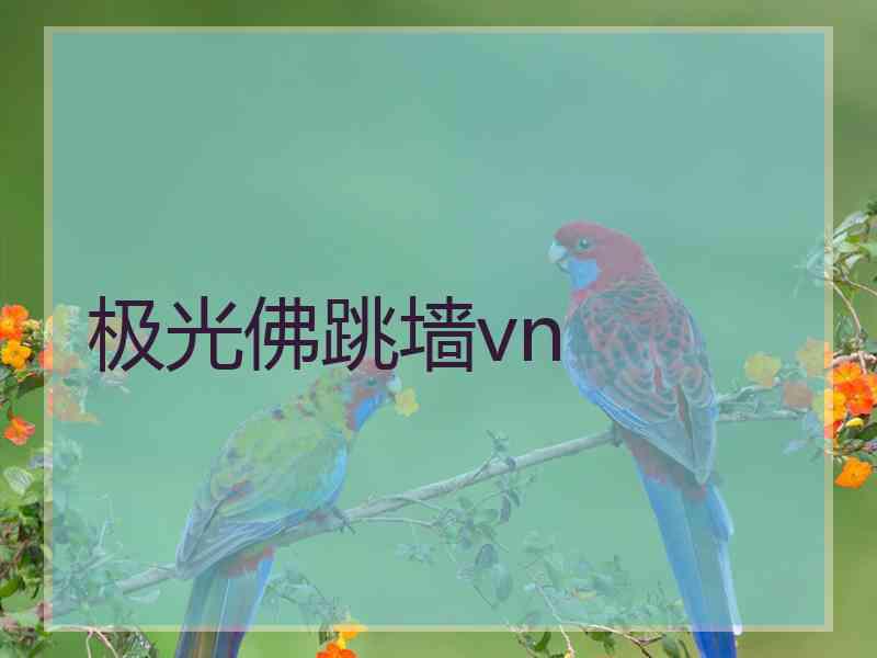 极光佛跳墙vn