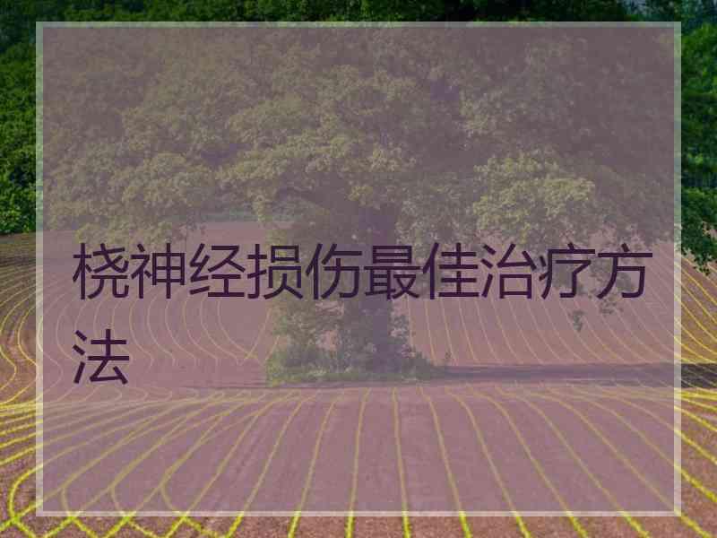 桡神经损伤最佳治疗方法