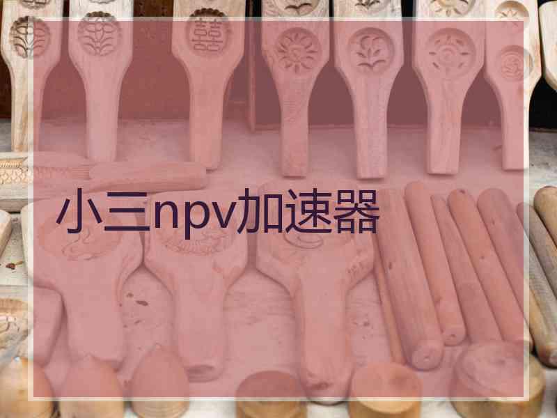 小三npv加速器