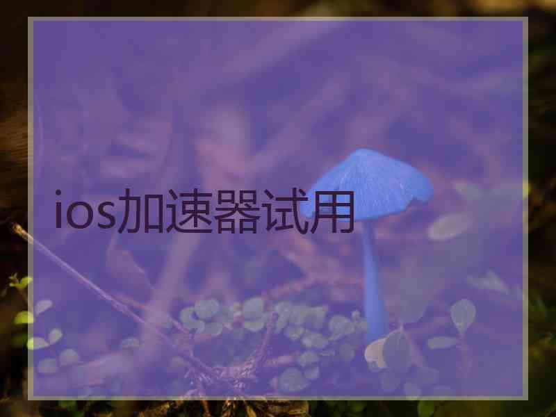 ios加速器试用