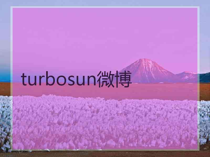 turbosun微博