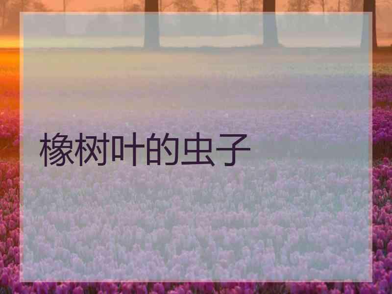 橡树叶的虫子