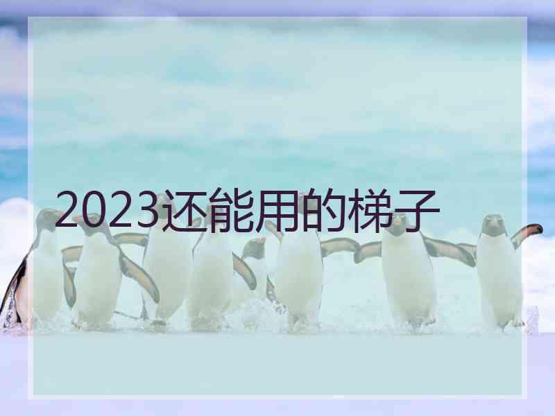 2023还能用的梯子