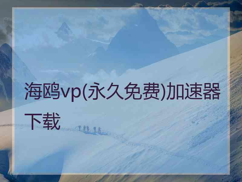 海鸥vp(永久免费)加速器下载