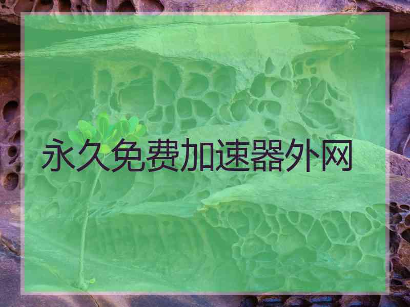 永久免费加速器外网