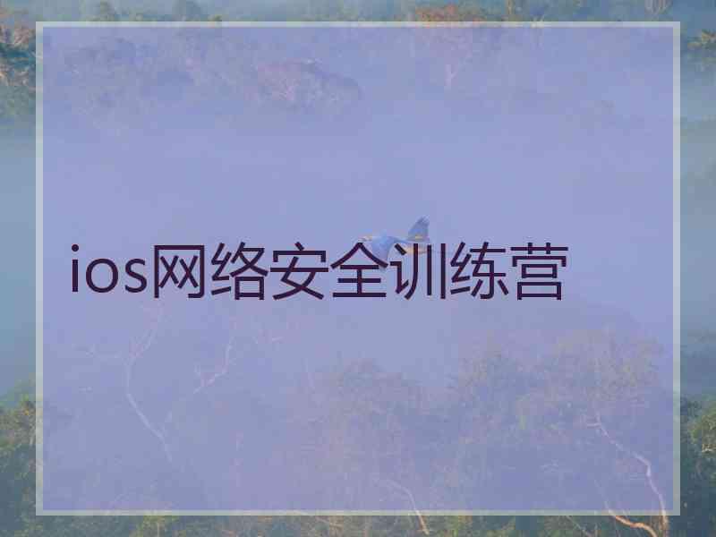 ios网络安全训练营