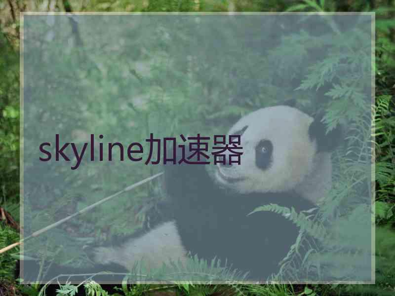 skyline加速器