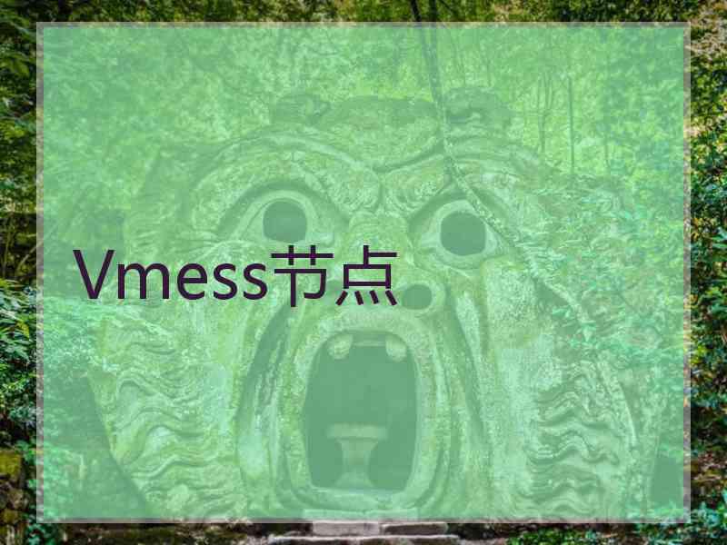 Vmess节点