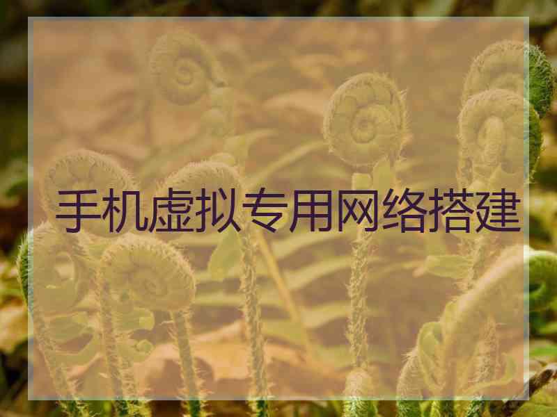 手机虚拟专用网络搭建