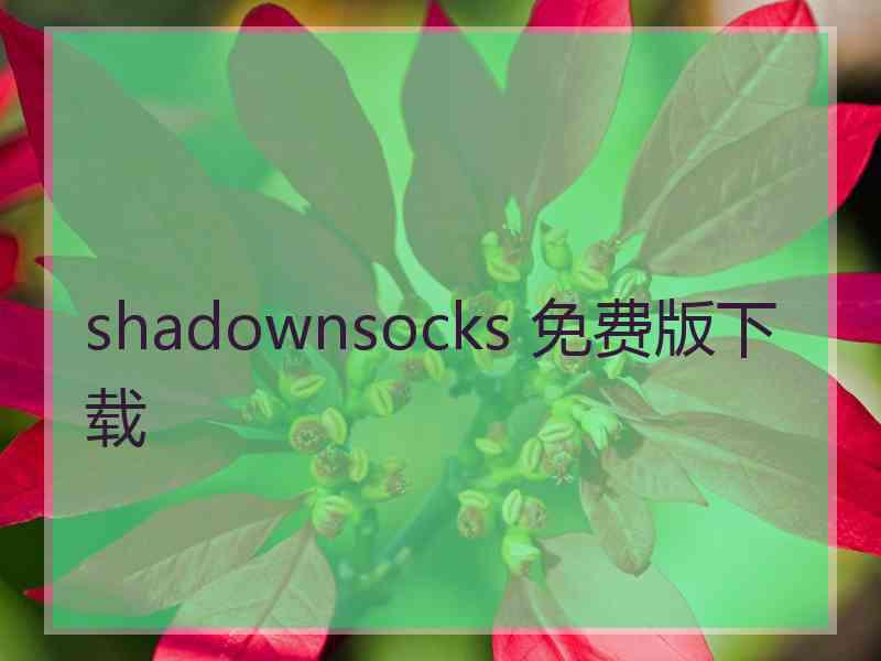 shadownsocks 免费版下载