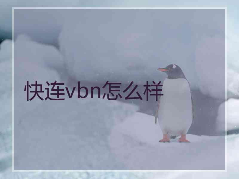 快连vbn怎么样