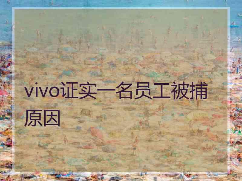 vivo证实一名员工被捕原因