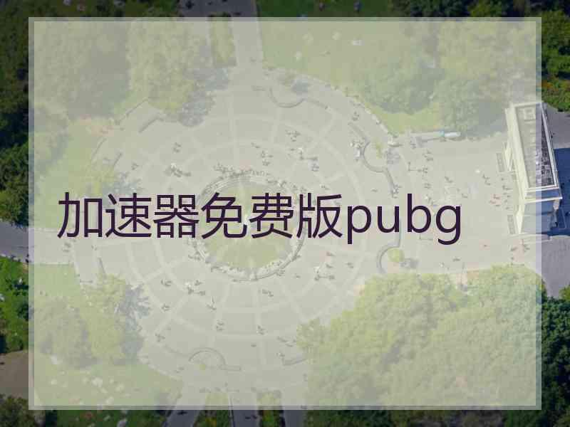 加速器免费版pubg