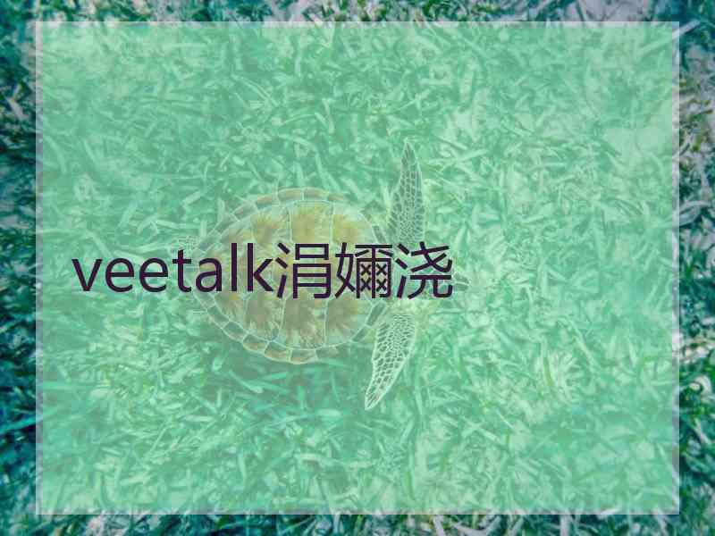 veetalk涓嬭浇