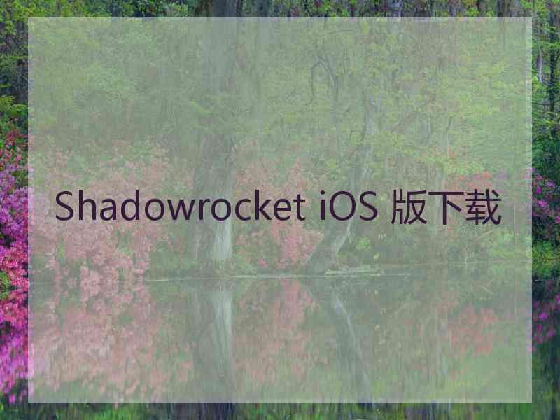 Shadowrocket iOS 版下载