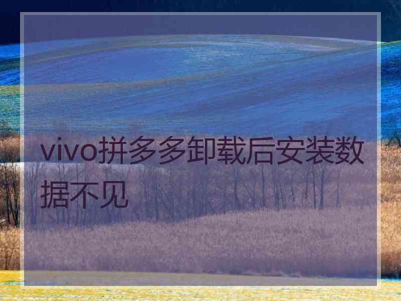 vivo拼多多卸载后安装数据不见