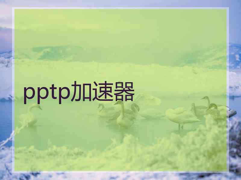 pptp加速器