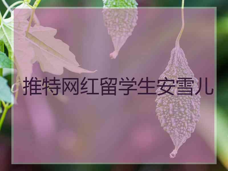 推特网红留学生安雪儿