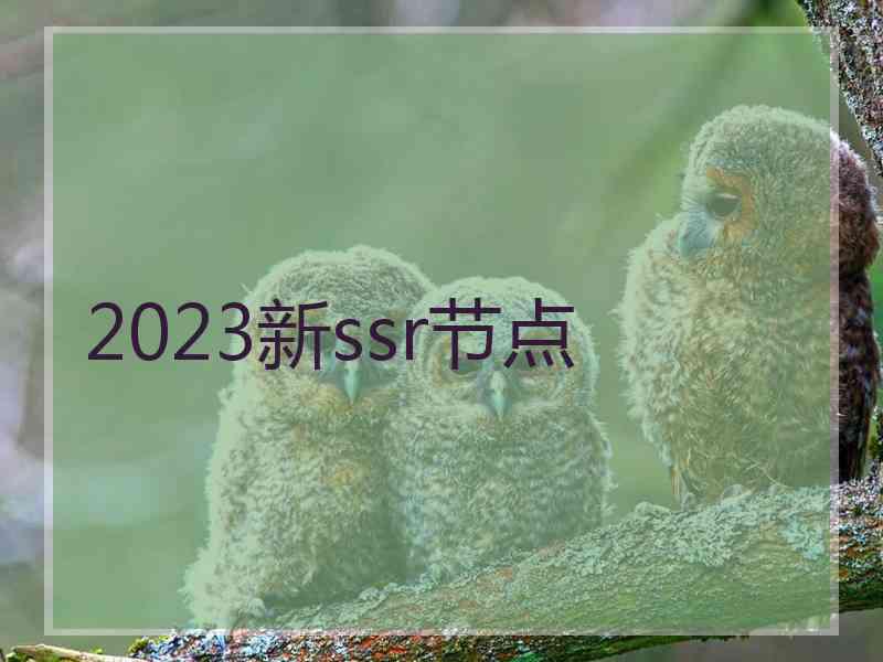 2023新ssr节点