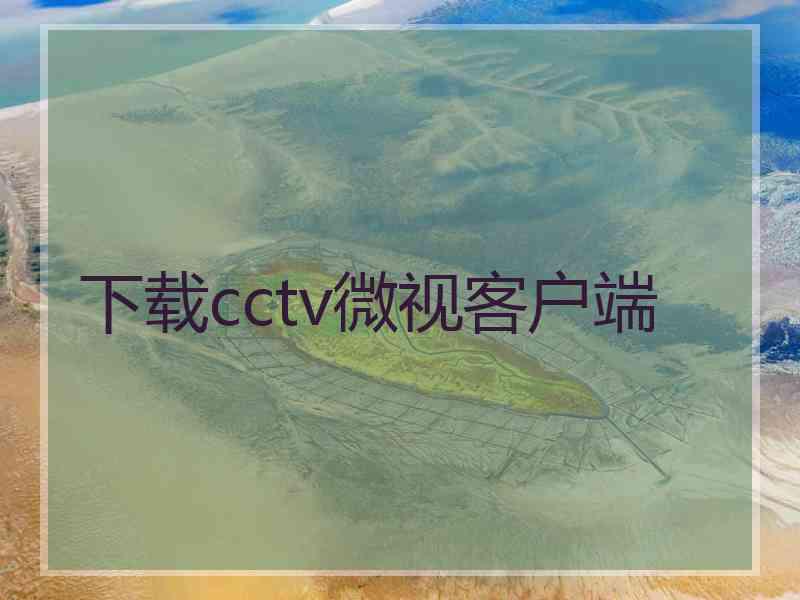 下载cctv微视客户端