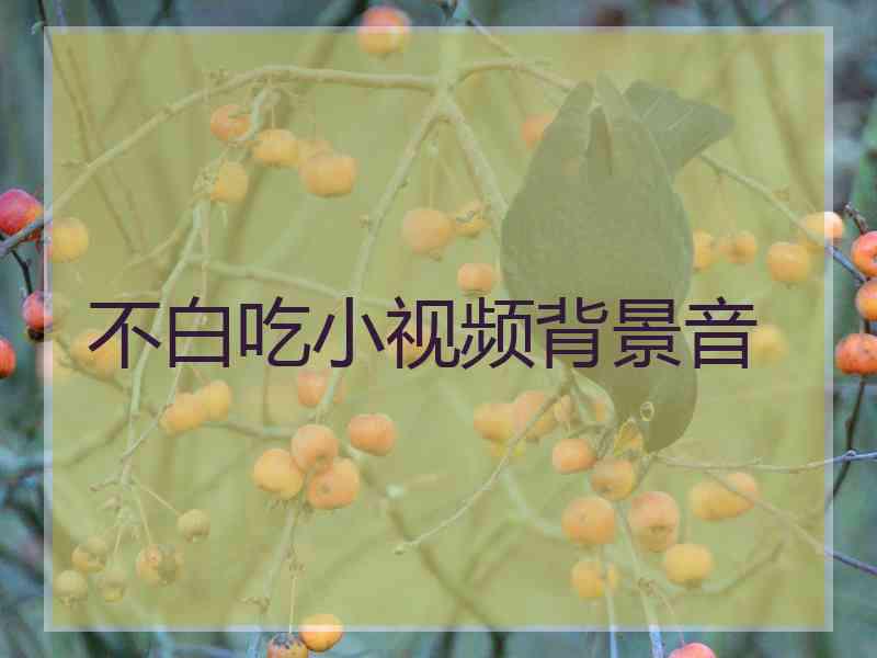 不白吃小视频背景音