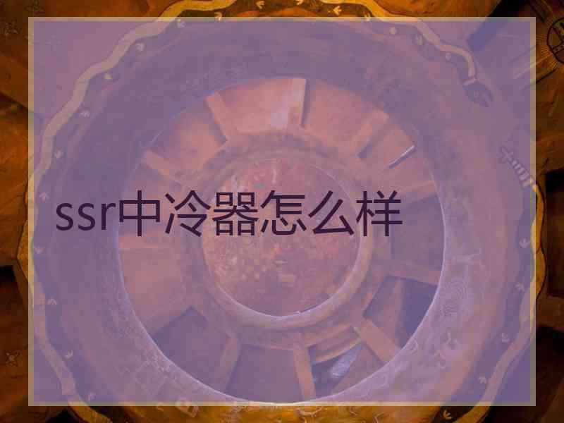 ssr中冷器怎么样