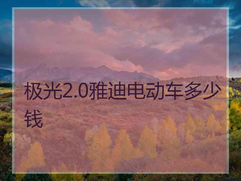 极光2.0雅迪电动车多少钱