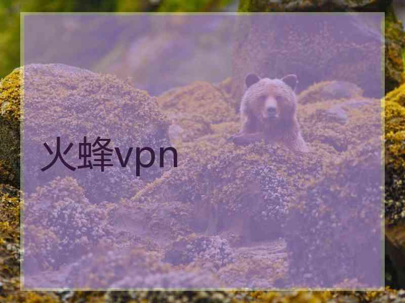 火蜂vpn