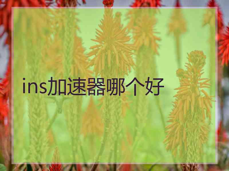 ins加速器哪个好