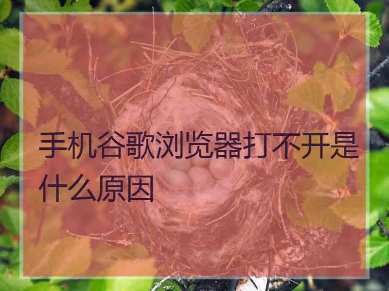 手机谷歌浏览器打不开是什么原因