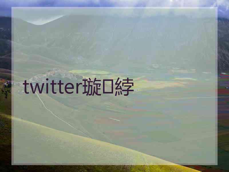 twitter璇綍