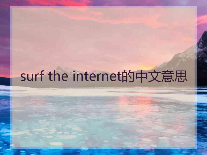 surf the internet的中文意思