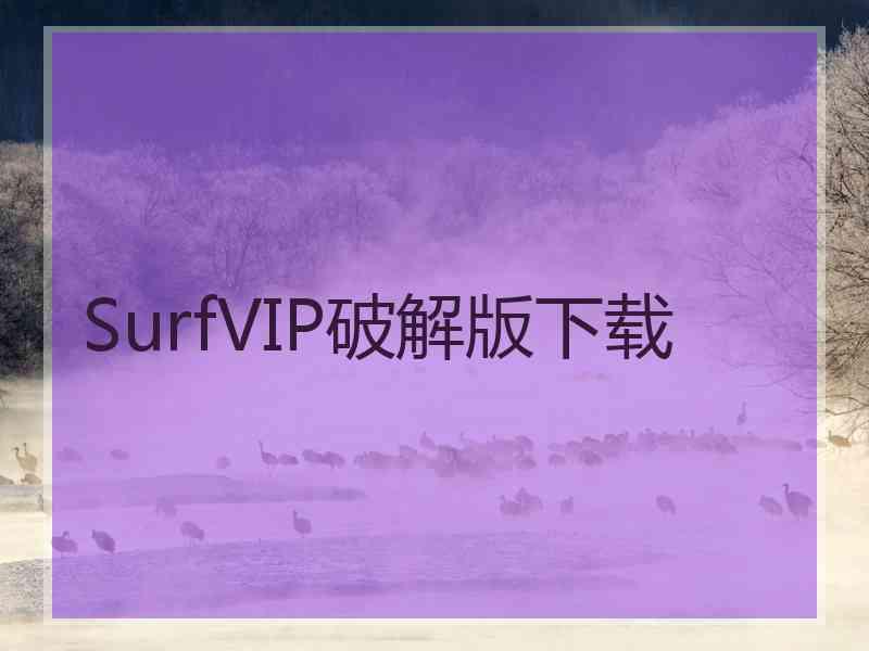 SurfVIP破解版下载