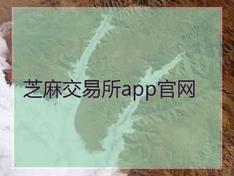 芝麻交易所app官网