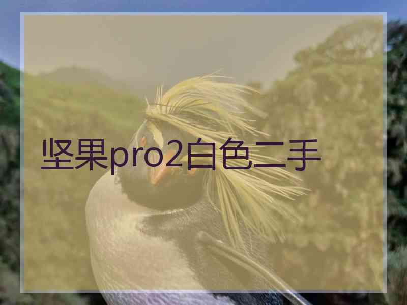 坚果pro2白色二手