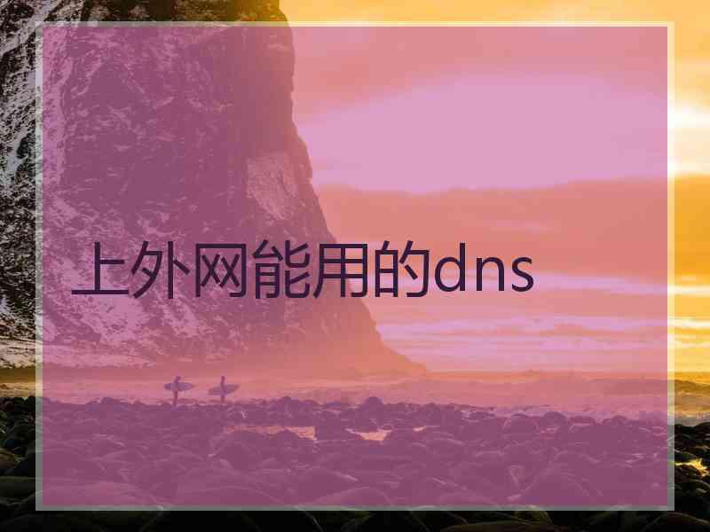 上外网能用的dns