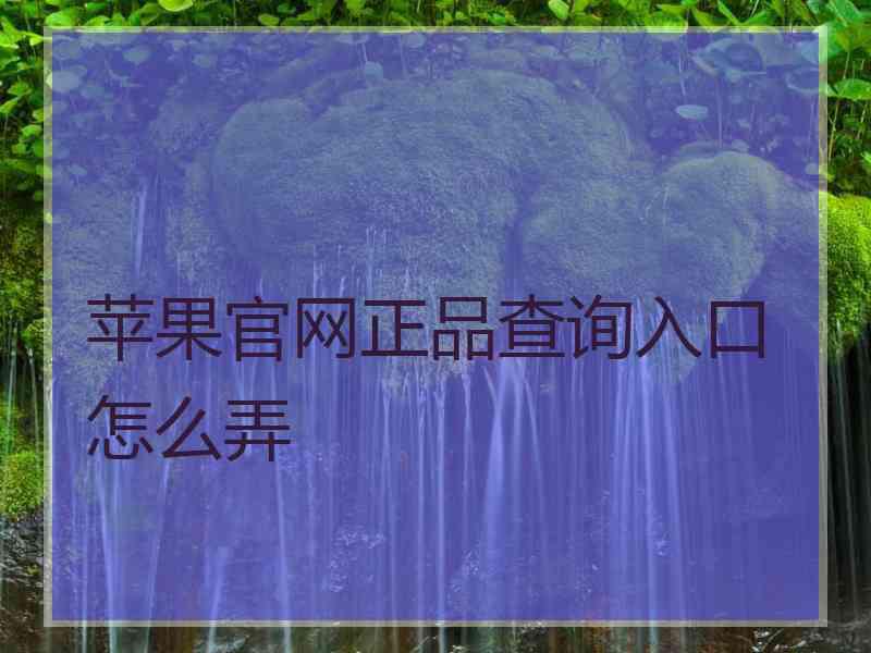 苹果官网正品查询入口怎么弄