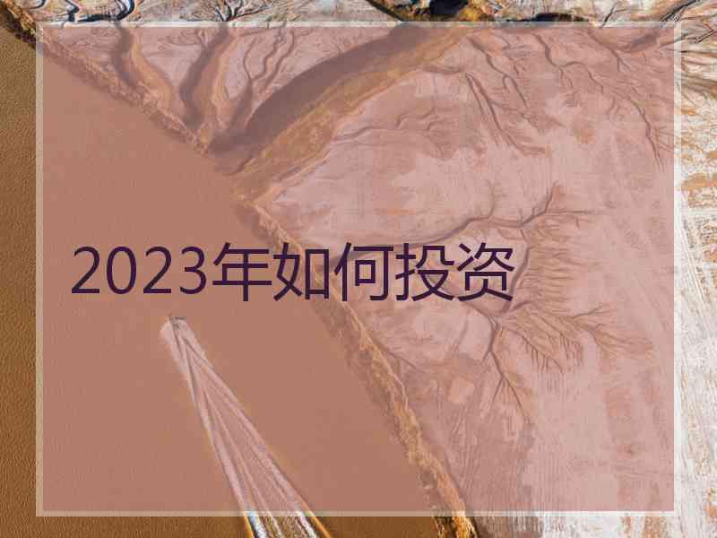 2023年如何投资