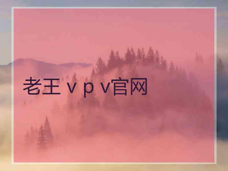 老王 v p v官网