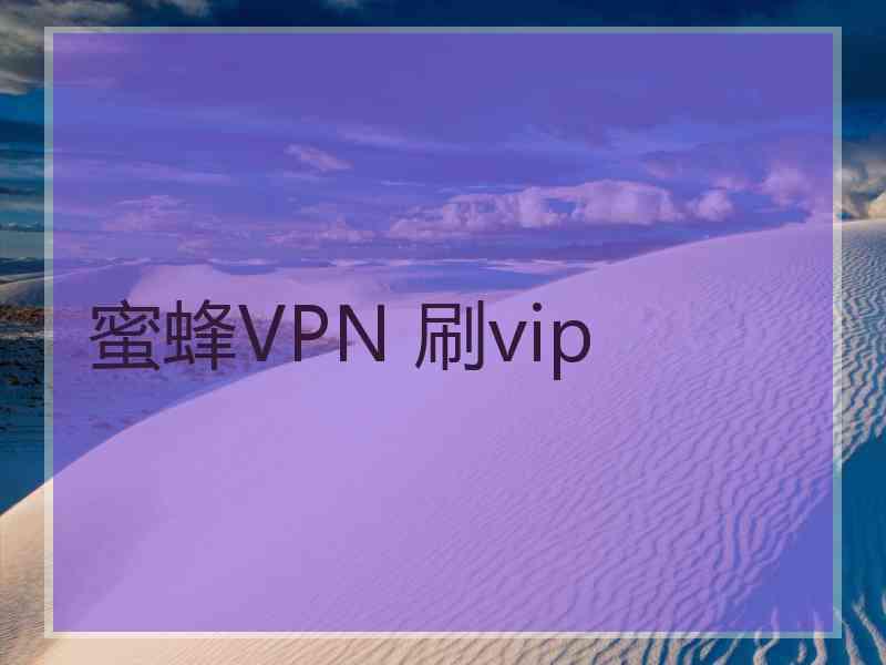 蜜蜂VPN 刷vip