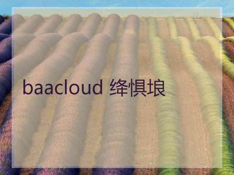 baacloud 绛惧埌