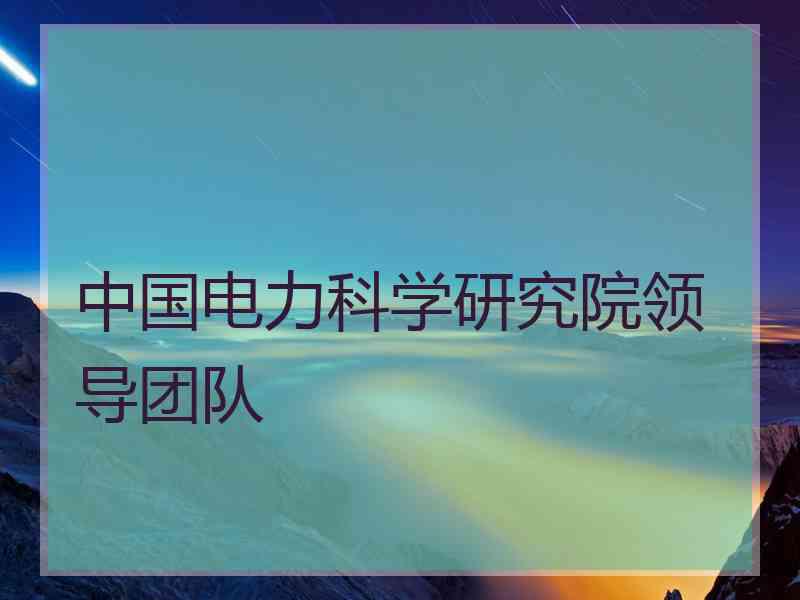 中国电力科学研究院领导团队