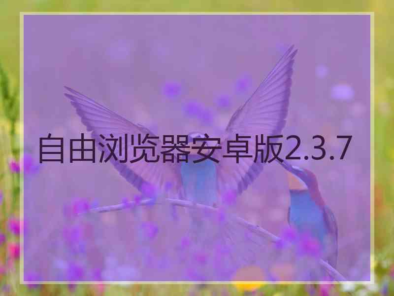 自由浏览器安卓版2.3.7