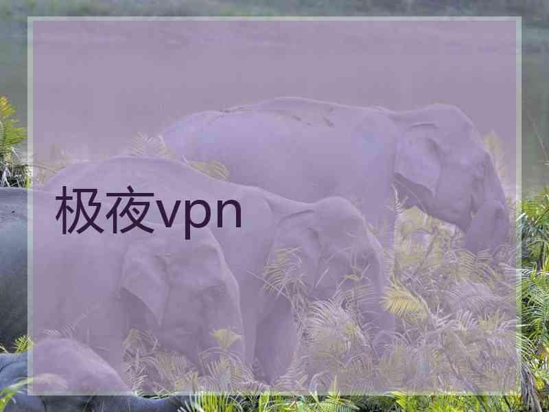 极夜vpn