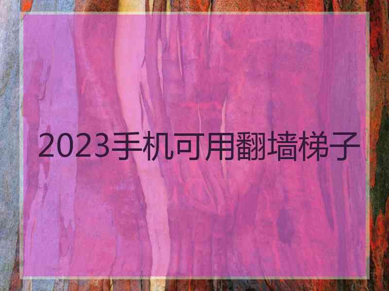 2023手机可用翻墙梯子